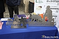 VBS_6656 - Fiera dei Santi - 12.ma Fiera Nazionale del Tartufo